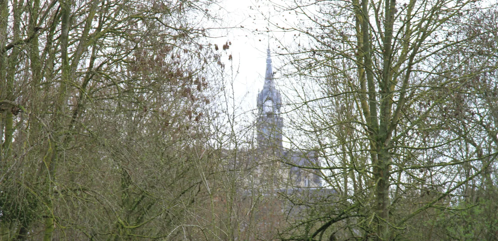 Les Hardines à Ham, clocher entre les arbres