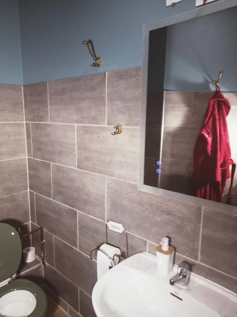 Lavabo, miroir et WC de la salle d’eau du gîte L’Intemporel