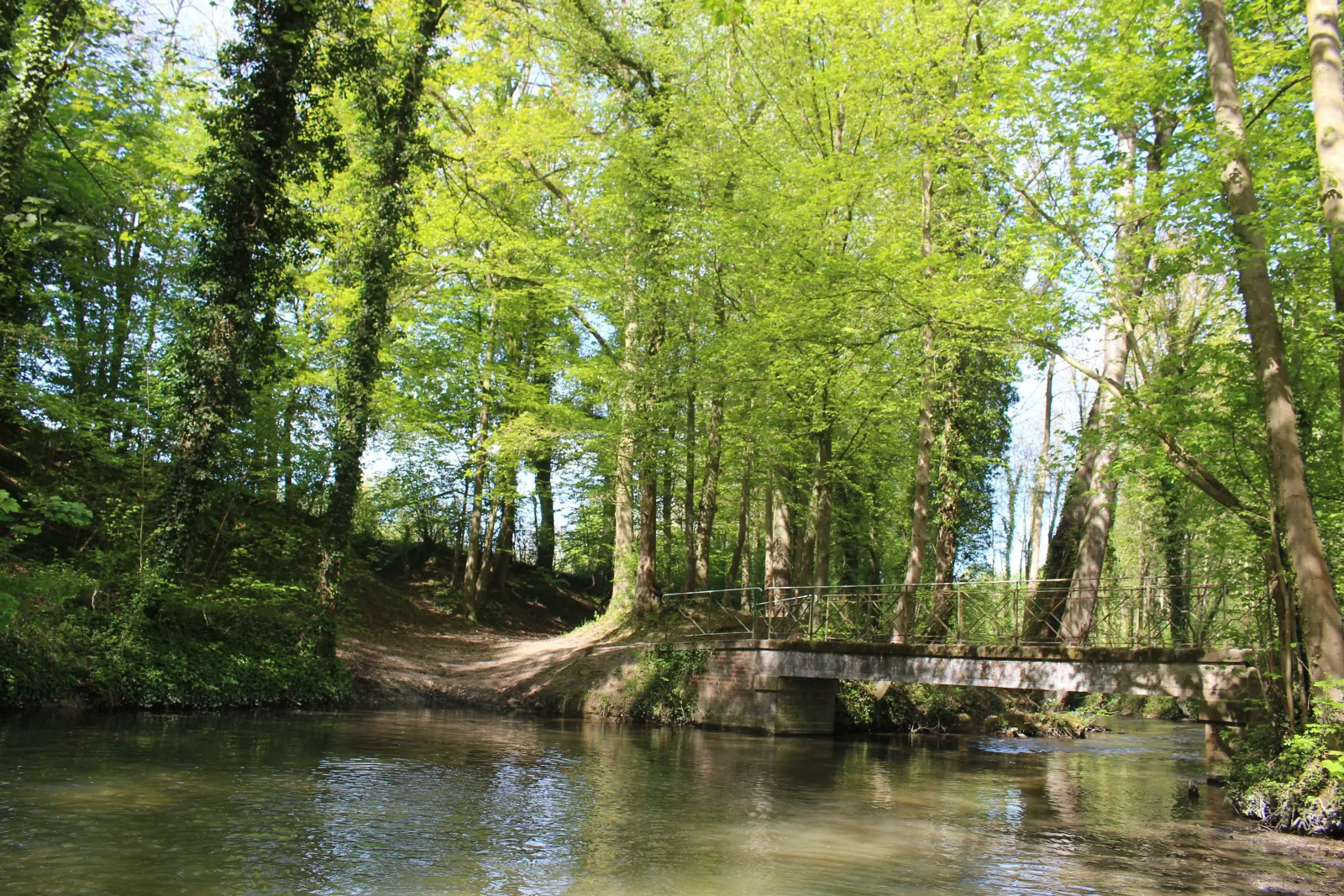 Sentier ombragé dans la vallée de l’Omignon